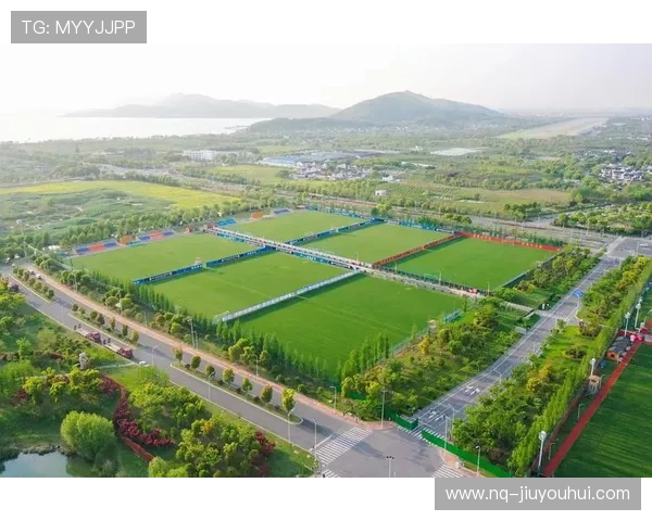 鹅埠附近最佳足球场地与青少年训练资源全面深度推荐实用指南大全